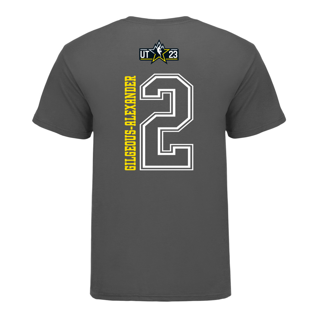 Pittsburgh Steelers Nike Team Issue T-Shirt - Mens